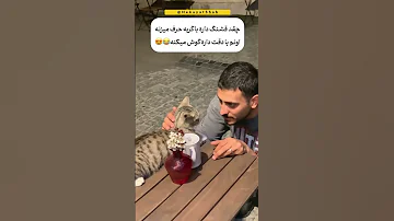 چه اسم با ابهتی هم داره گربه مهربانی فان خنده طنز Shorts 