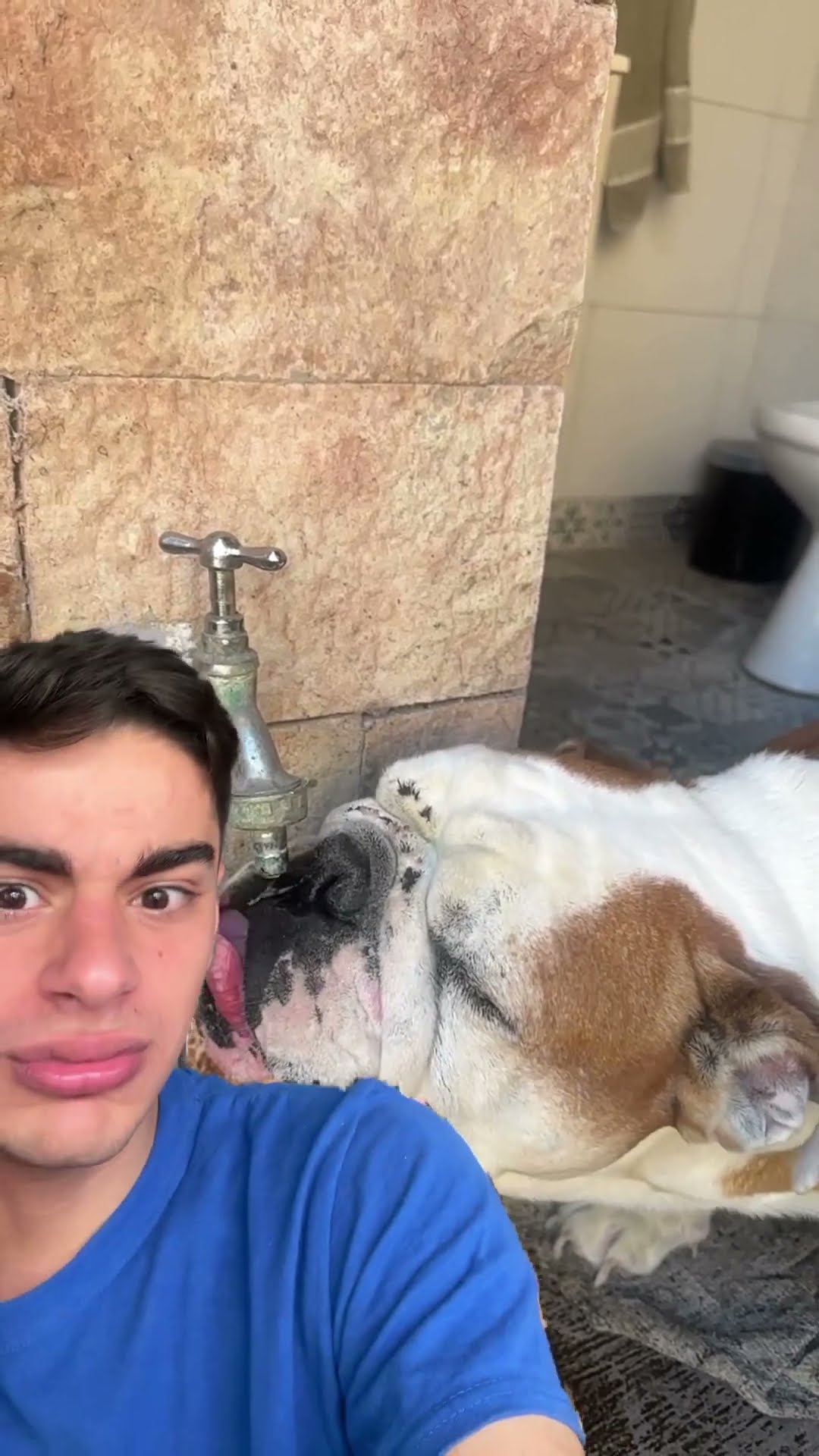 MI PERRO TOMANDO AGUA ES MUY GRACIOSO??