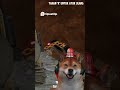 Aduh! Apa Sih yang Ada di Depan Bang #obitsianjing #gaming