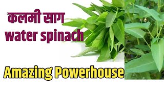 Water Spinach Benefits Benefits Of Kalmi Saag