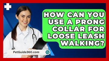 How Can You Use a Prong Collar for Loose Leash Walking? - PetGuide360.com