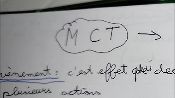 MCT SI (2 informatique lmd)