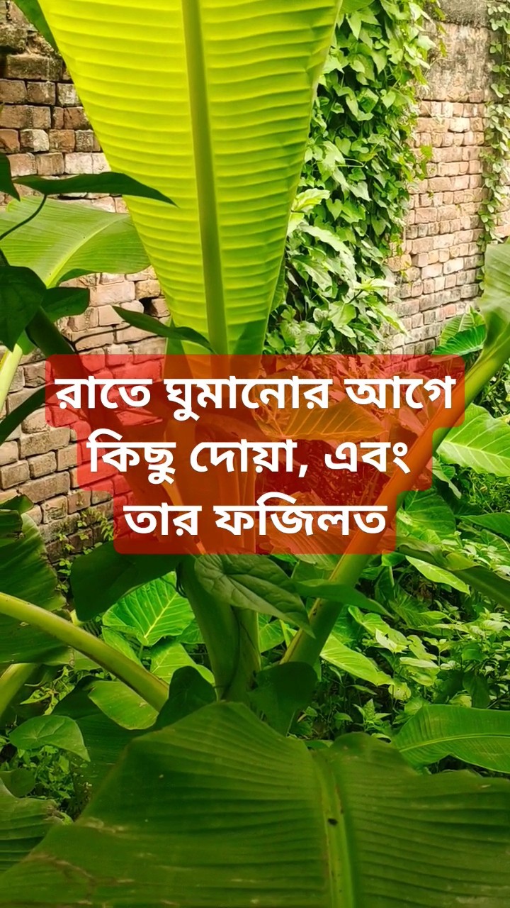 আজকের রাতে | রদিয়া আশিকউজ্জামান | Ajker Raate | Rodia Ashiquzzaman