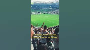 Thumbnail of Eu sou palmeiras sim senhor!