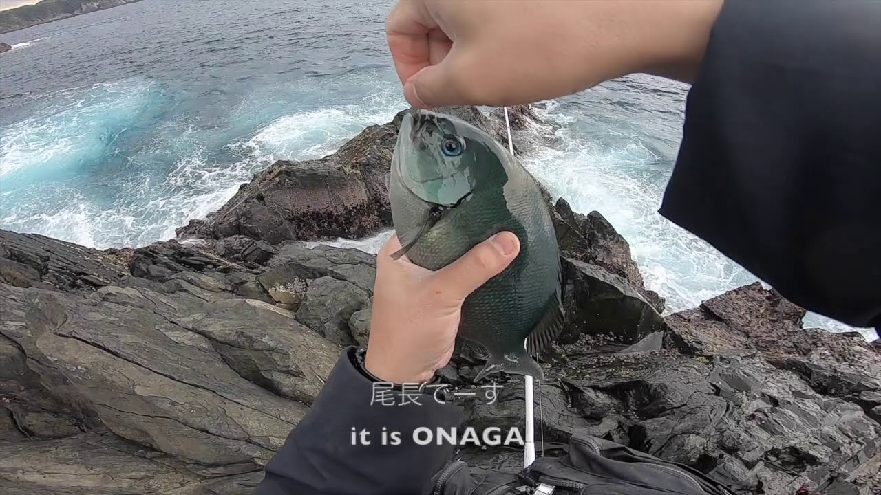 離島の大物釣り　井ノ口和雄 離島の大物釣り 井ノ口和雄｜その他