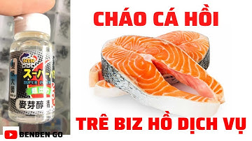 Chao ca hoi cau ca tre | Cách làm cháo cá hồi câu cá trê | Benben Go