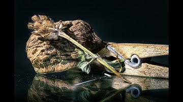 Preparing for macro shot, Canon R5 8K RAW down sampled to 4K, davinci resolve 18