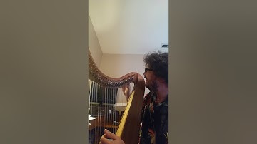 Lorraine Harp (by Stoney End) Review