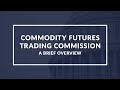 Understanding the commodity futures trading commission cftc  a quick guide