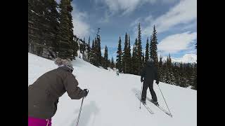 Symphony To Harmony Chair