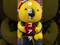 耳を澄まして妖精が見えた方だけチャンネル登録ください🧚‍♂️ IZUMIの歌サブスク音楽配信中!!