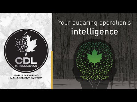 CDL Intelligence Management System