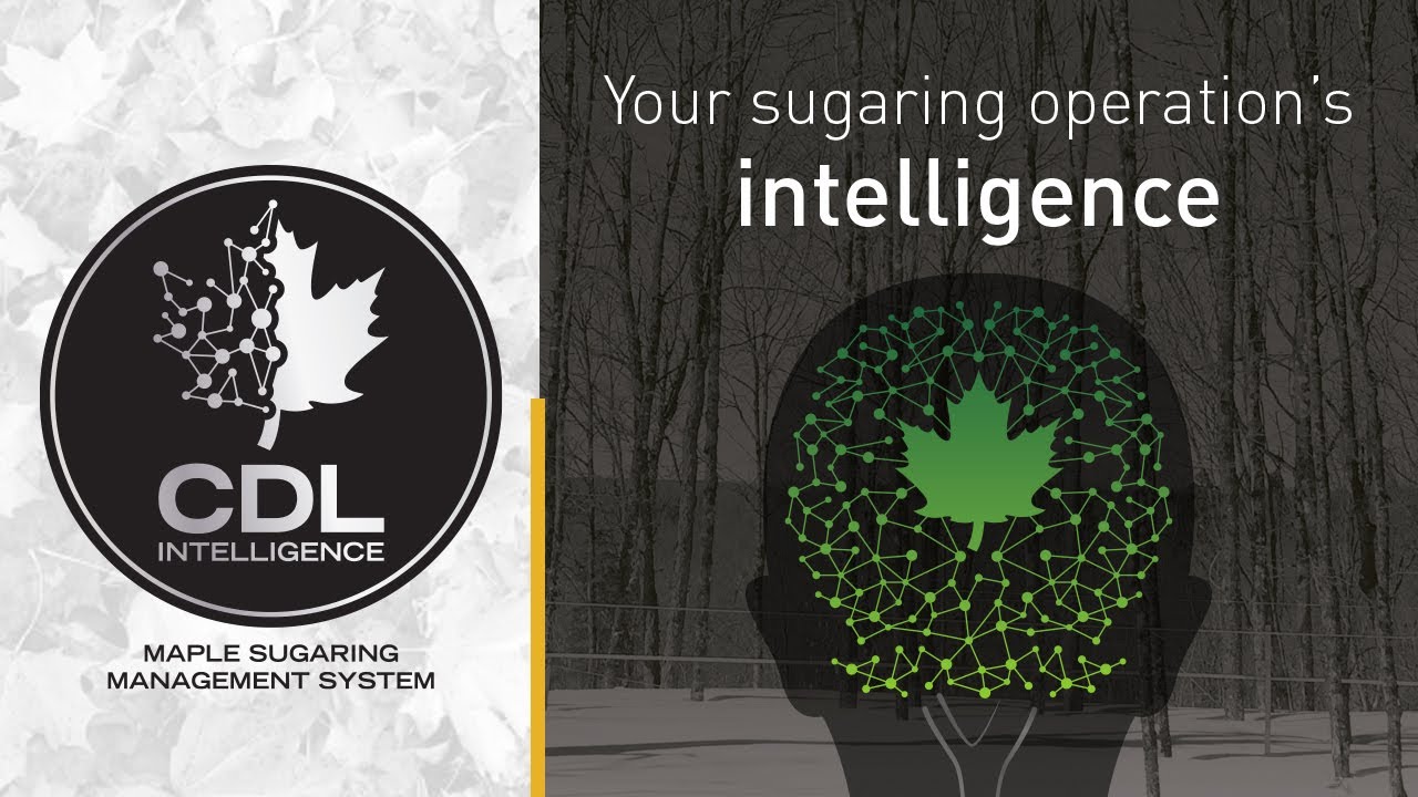 CDL Intelligence Management System - YouTube