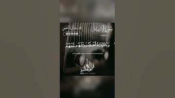 أَنِّي مَسَّنِيَ الضُّرُّ وَأَنتَ أَرْحَمُ الرَّاحِمِينَ | تلاوة عراقية حزينة - القارئ نجم النعيمي 💔