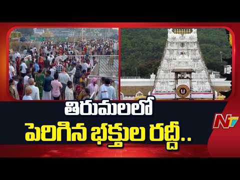 తిరుమలలో పెరిగిన భక్తుల రద్దీ.. శ్రీవారి సర్వదర్శనానికి 20 గంటల సమయం | Tirumala | NTV Telugu - NTVTELUGU