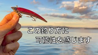 サーフや堤防でも使えそうな面白い釣り方を教えてもらいました【車中泊釣り旅第三弾・西日本&九州編2話】