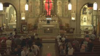 14th Sunday of Ordinary Time  - Morning