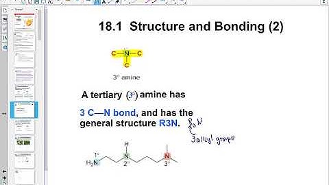 Chapter 18 Amines and Neurotransmitters Lesson 1