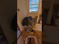 stein, pintado #videoshort