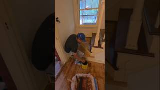 stein, pintado #videoshort