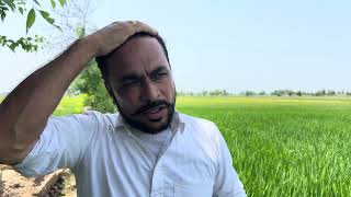 7501 ਅਤੇ 28p67 ਦਾ ਕਿੰਨੇ ਦਿਨ ਤੋ ਨਿਸਾਰਾ ਸ਼ੁਰੂ ॥ 7501 te 28p67 da kine din toh nisra shuru 