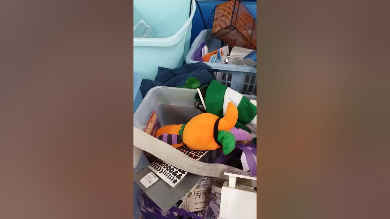 Goodwill Outlet Chattanooga, TN the Bins YouTube