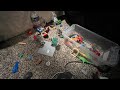 The prehistoric world - Building fun