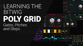 The Bitwig Grid - Gates, Pitches and Steps.E04