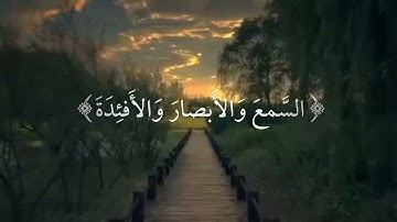 اللَّهُ الَّذي خَلَقَ السَّماواتِ وَالأَرضَ |القارئ عبد الرحمن مسعد |من سورة السجدة 🤲🏻🤲🏻