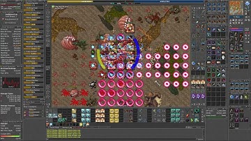 Tibia | Roshamuul West | 450 RP | (PEAK 6.88kk/H 100%) (raw recording)