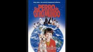 Video Thumbnail for top 3 de peliculas de perros