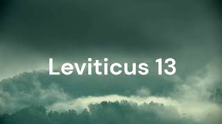 The Book of Leviticus Chapter 13 - New King James Version (NKJV) - Theatrical Audio Bible  #law