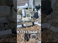 Part 1 Saturday vlog #pov #vlog #saturday #ttd #tasks