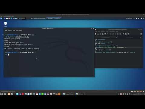 Using Python to create a conversation in the terminal.
