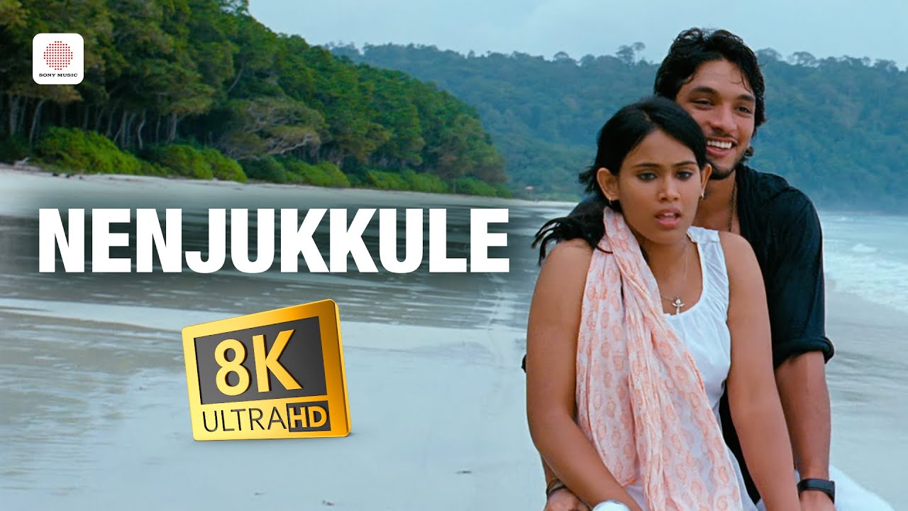 Nenjukkule 8K/4K Video Song