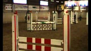 Victoria Werder Sörbys Pepita Värnamo 90 Cm 20110219