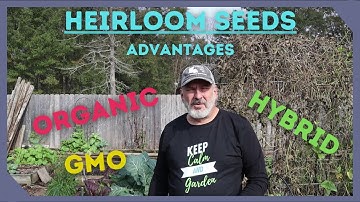 What Are Heirloom Seeds and their Advantages?