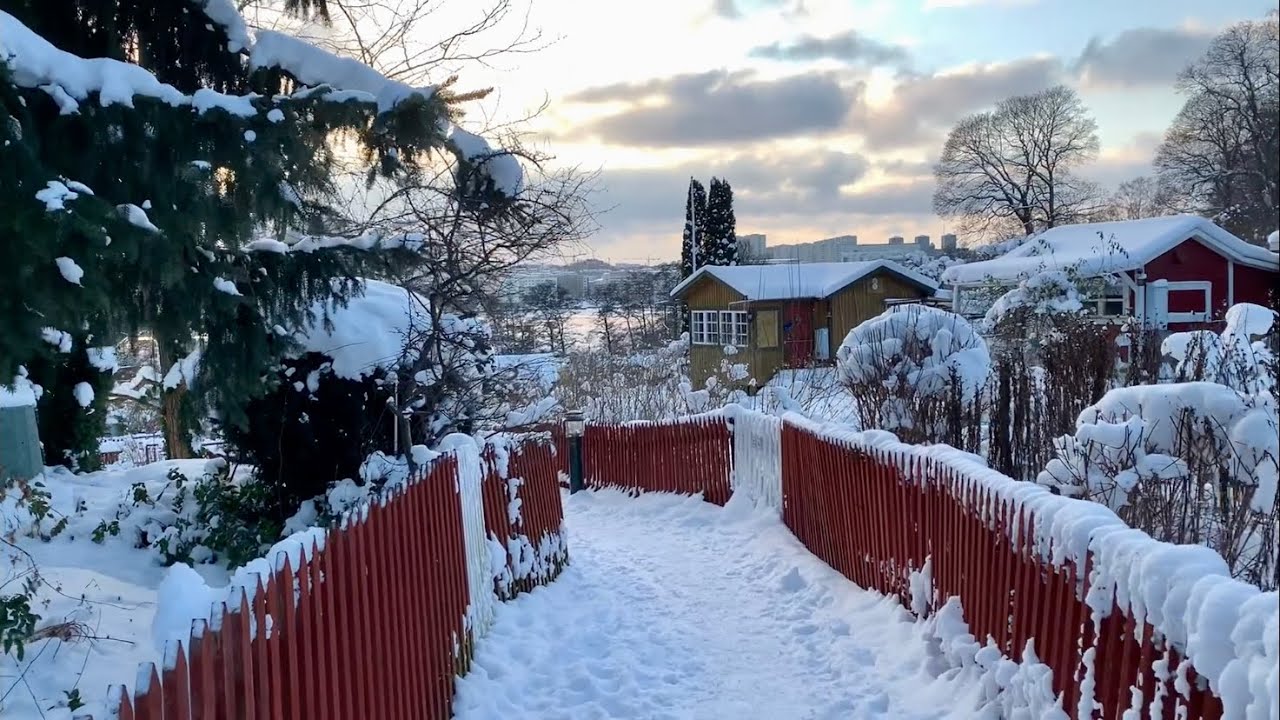 Stockholm Walks: winter wonder in the communal gardens, city beach and streets. Ambient sound.