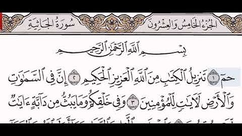 سورة الجاثية الشيخ مشاري بن راشد العفاسي من مصحف آيات