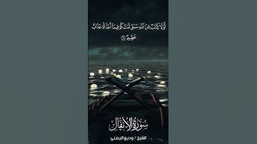 سورة الأنفال | Al-Anfāl | آية 68 | الشيخ وديع اليمني
