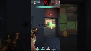 waylay is the best |  #valorant