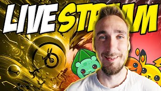 Pokemon Investice - Jdeme analyzovat live!