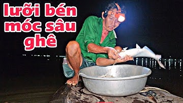 Đêm nay giăng câu , may mắn dính được cá mao ếch | #66TV #fishing