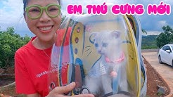 Tho Nguyen Short - Youtube