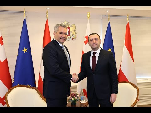 შეხვედრა ავსტრიის რესპუბლიკის ფედერალურ კანცლერთან