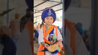 sewa simran khalsa panth ♥️.  ... #viral #ytshorts #punjabi #khalsa #waheguru #singh #viralshorts