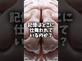 形のない記憶の保存方法 #科学 #雑学 #shorts