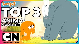lamputs funniest animal transformations best cartoon bits cartoon network asia