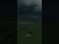 لو كانت الدنيا تدوم لأهلها لكان رسول الله حي ا وباقيا