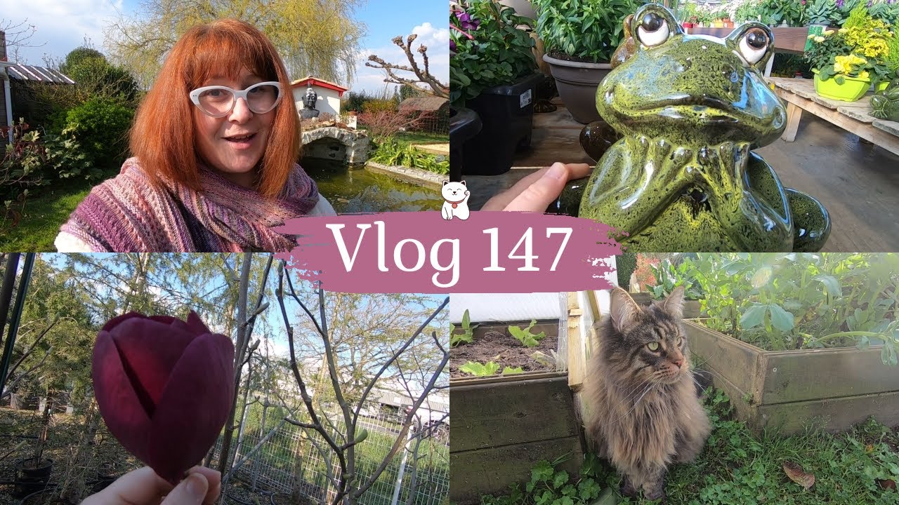 VLOG 147🌿Léonard😺 nous promène dans le jardin | JARDINERIE encore du nouveau | CADEAU de Christine🙏